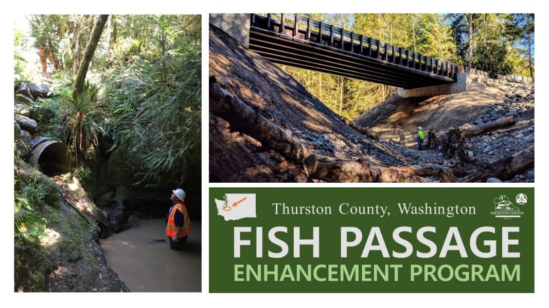 Thurston CO Fish